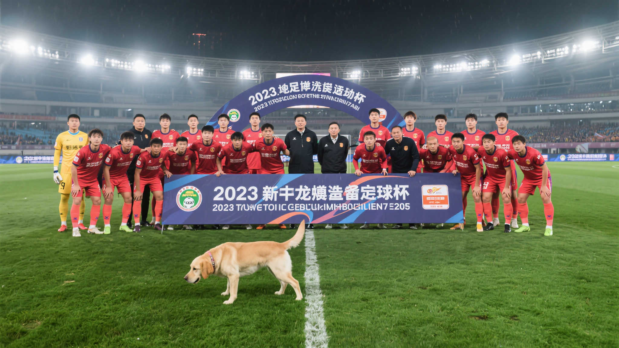 足协杯门线争议:此球该判点球吗? 足协杯门线争议:此球该判点球吗?